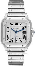 Cartier WSSA0029