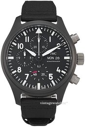 IWC Pilots IW389101