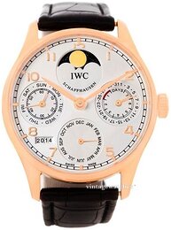 IWC Portuguese IW502213